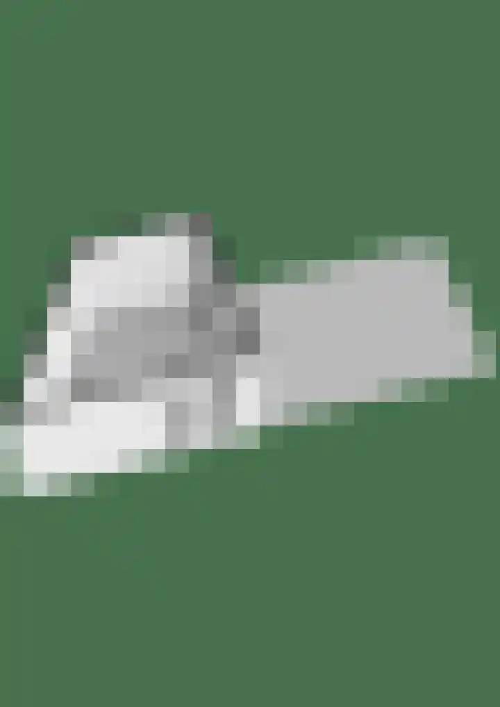 de Bongerd 27 Pannerden thumbnail 61