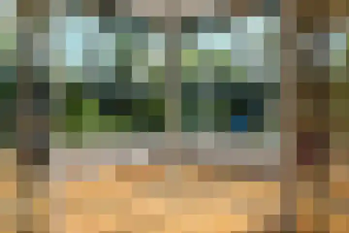 de Bongerd 27 Pannerden thumbnail 9