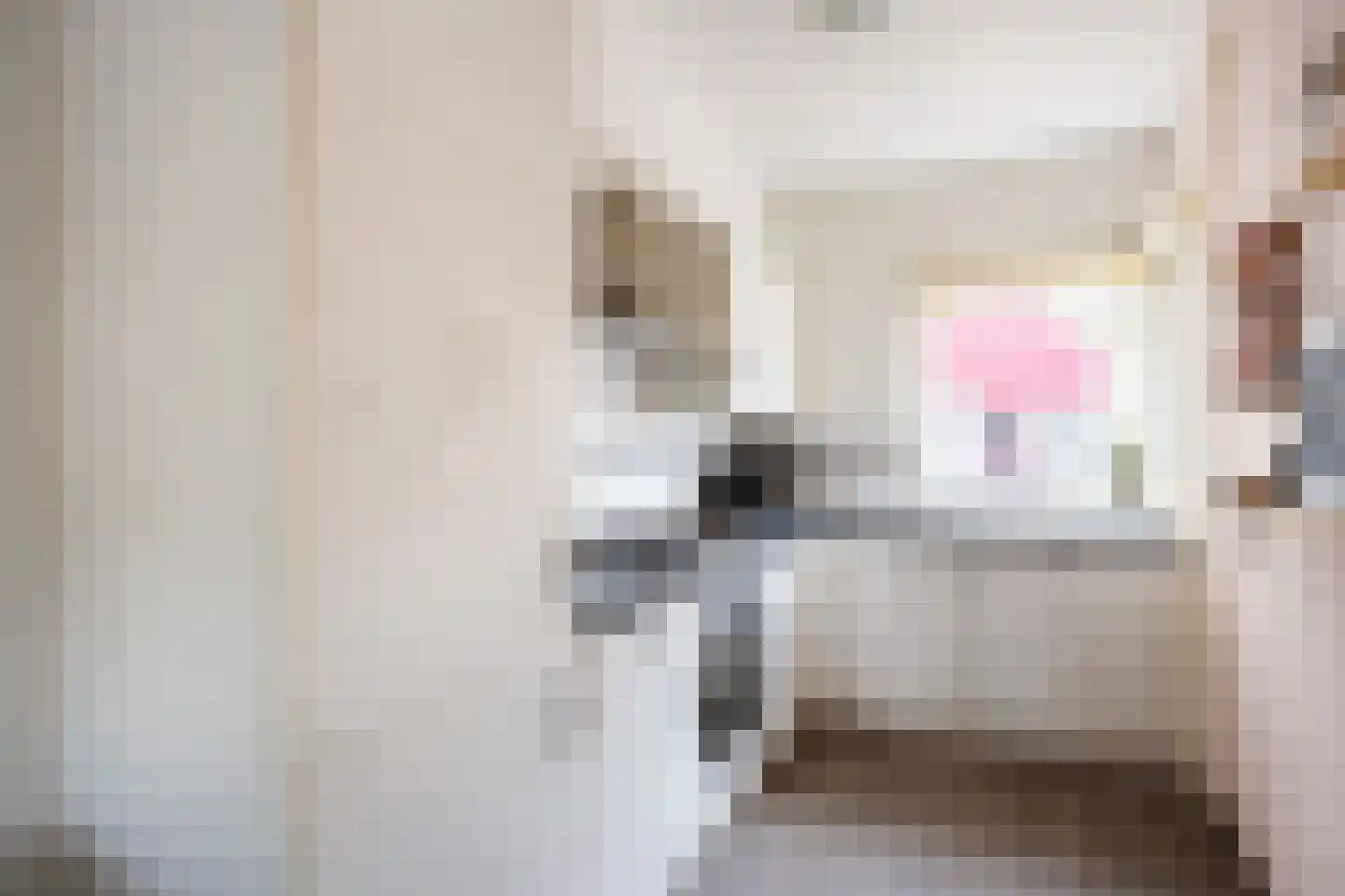 De Bongerd 29 Bedum thumbnail 27