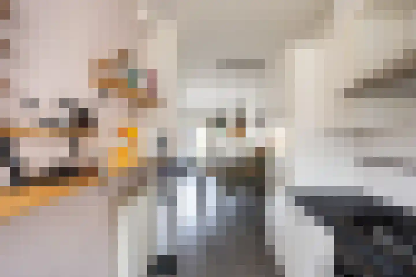 De Bongerd 29 Bedum thumbnail 30