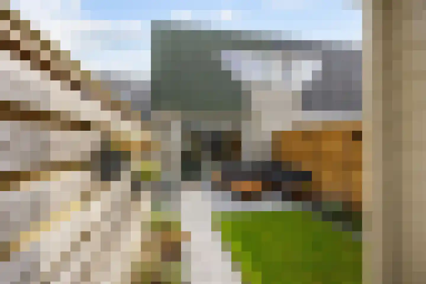 De Bongerd 29 Bedum thumbnail 45