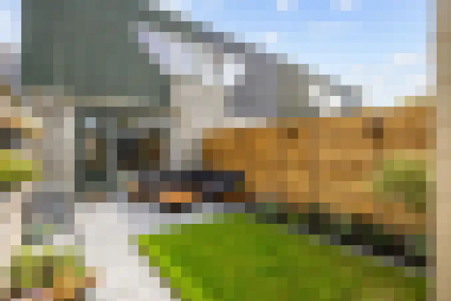 De Bongerd 29 Bedum thumbnail 46