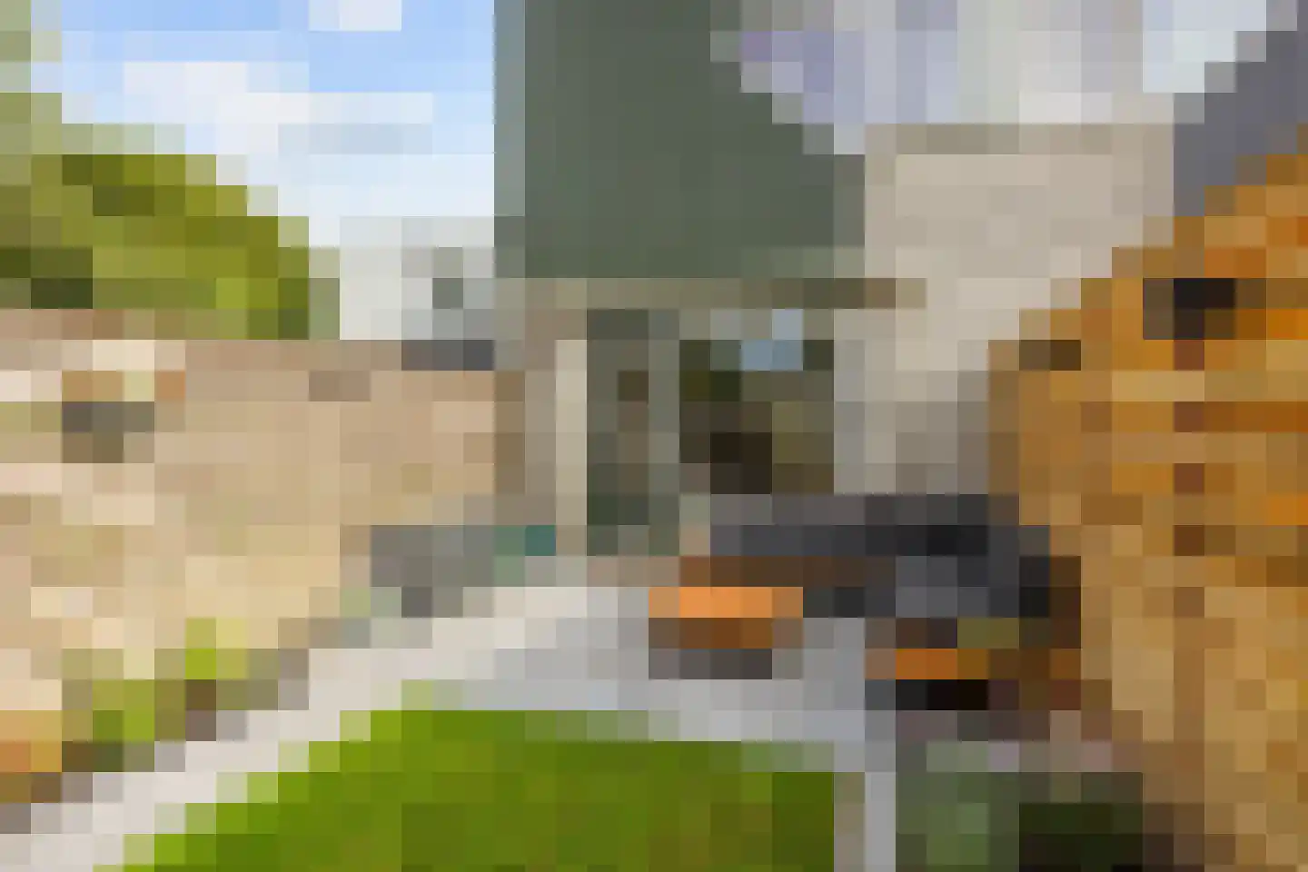 De Bongerd 29 Bedum thumbnail 47