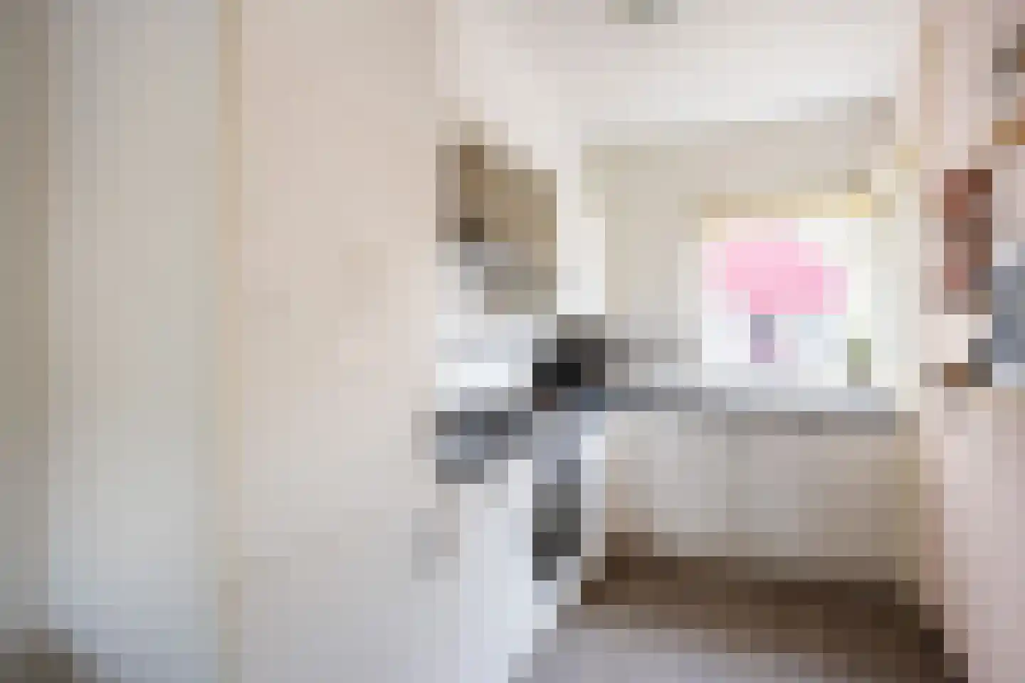 De Bongerd 29 Bedum thumbnail 6
