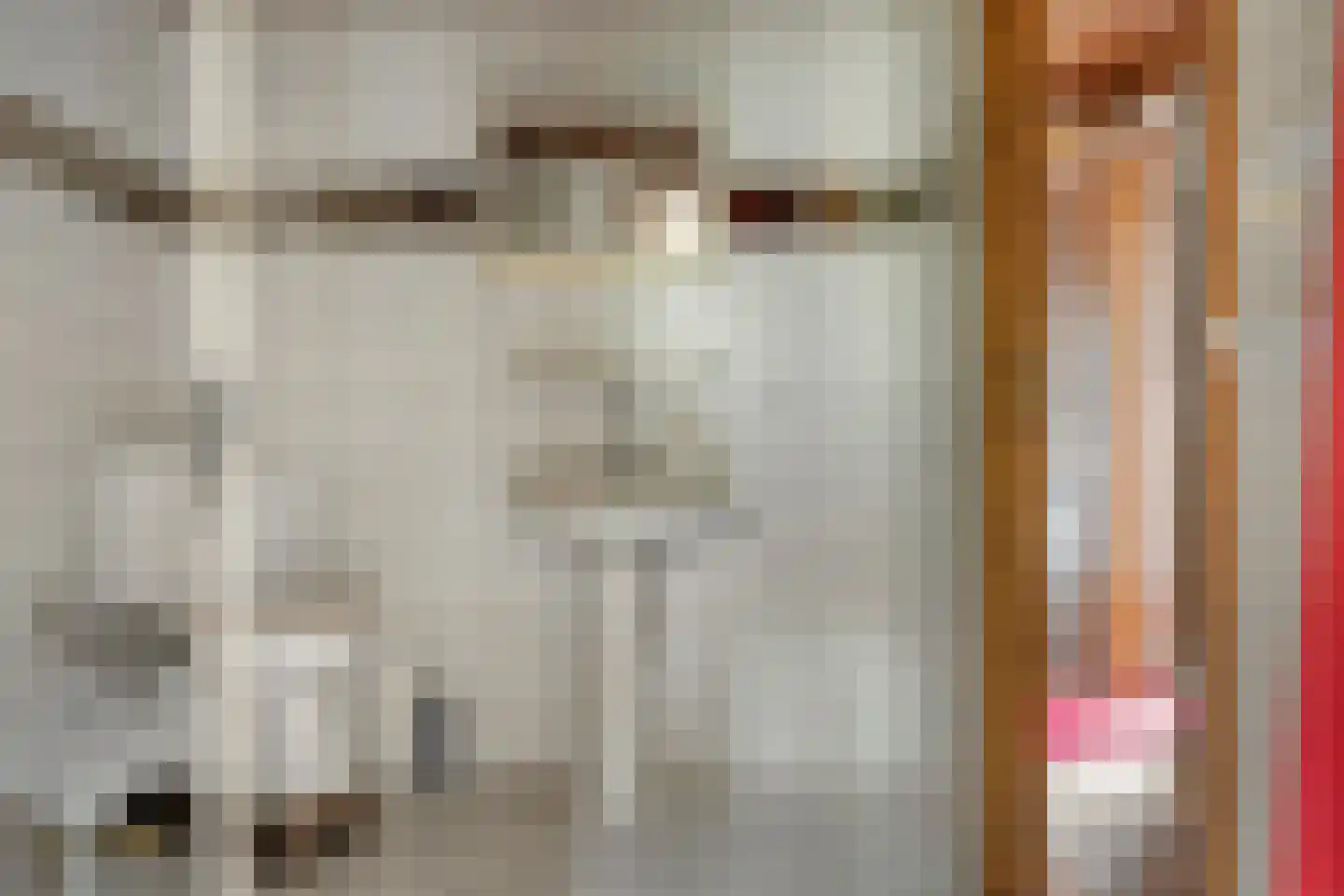 De Bongerd 29 Rohel thumbnail 12