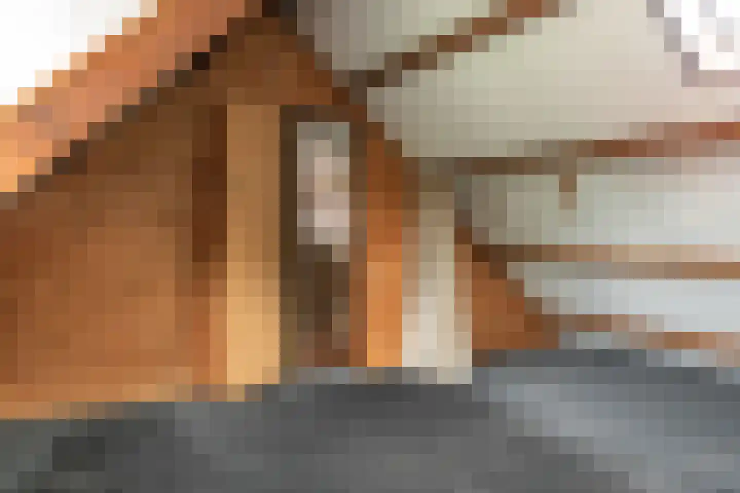 De Bongerd 29 Rohel thumbnail 14