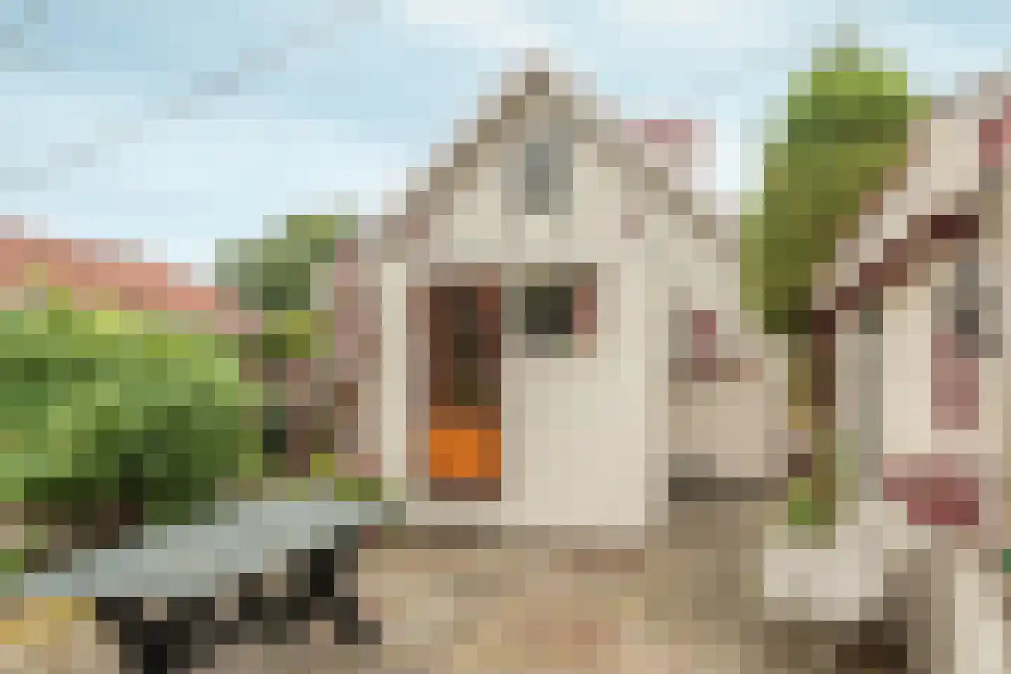 De Bongerd 29 Rohel thumbnail 18