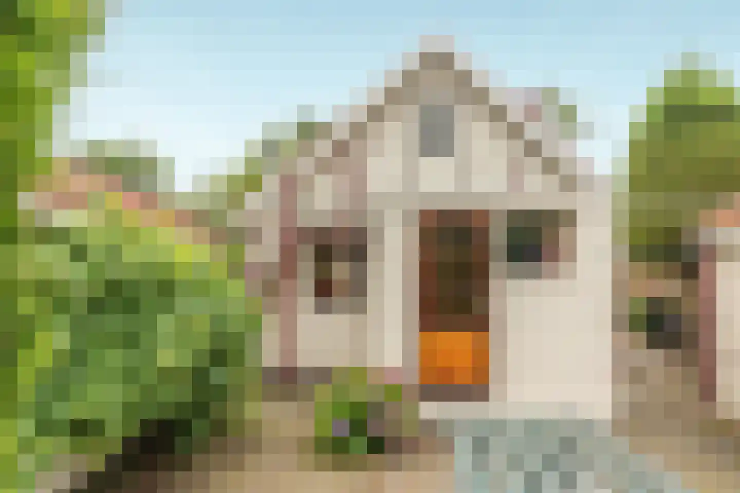 De Bongerd 29 Rohel thumbnail 19