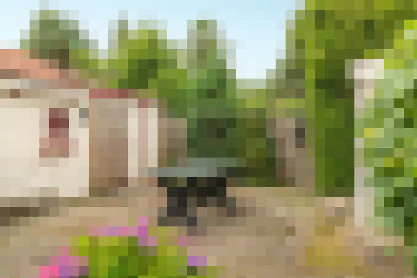De Bongerd 29 Rohel thumbnail 21