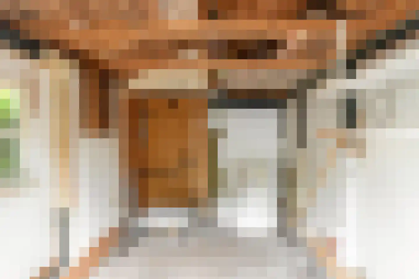 De Bongerd 29 Rohel thumbnail 24