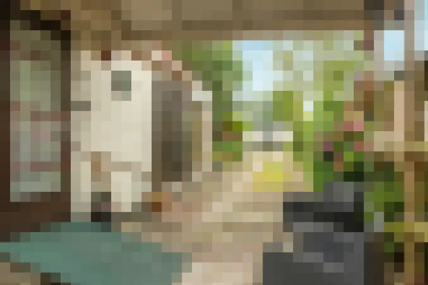 De Bongerd 29 Rohel thumbnail 25
