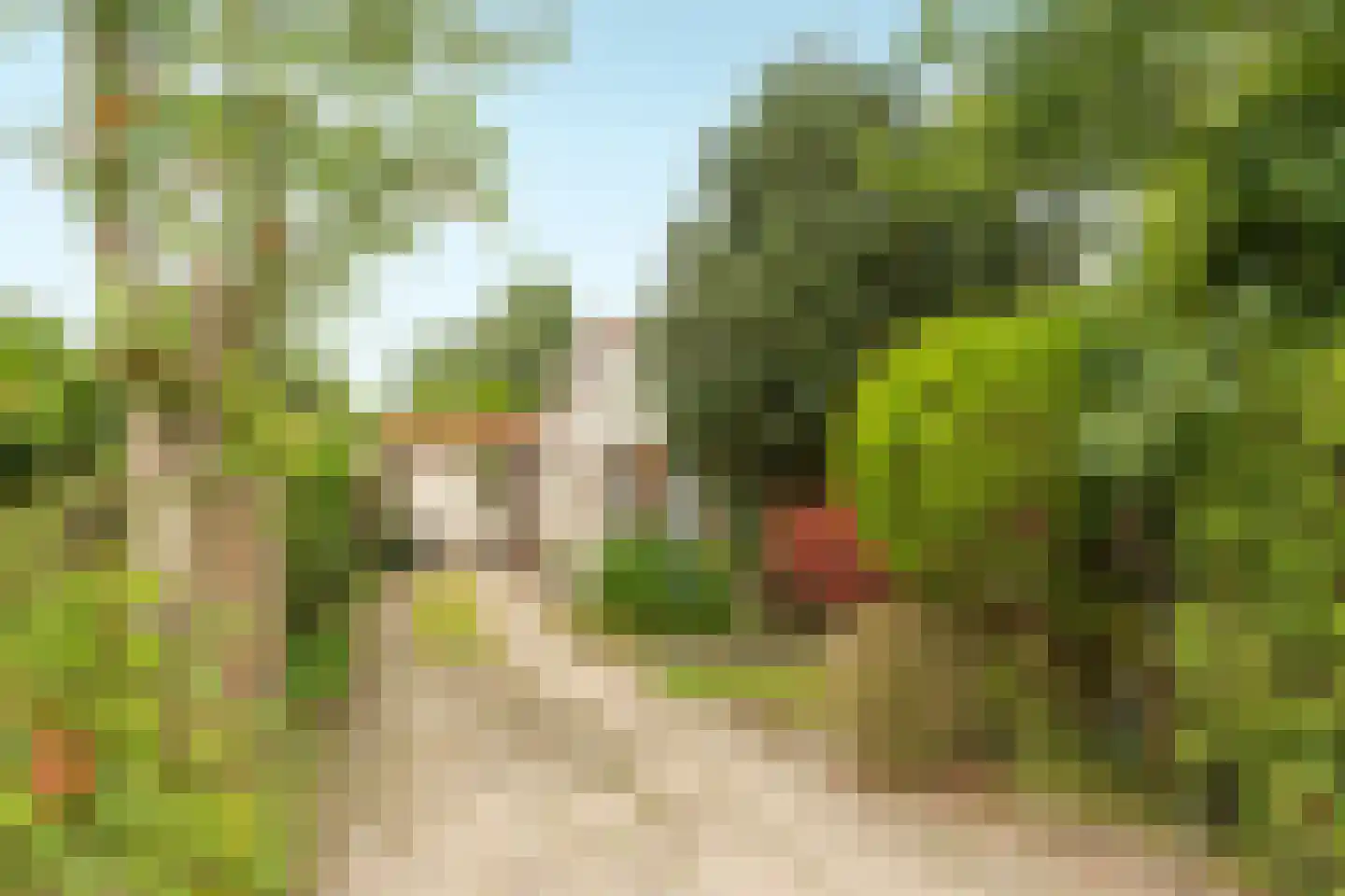 De Bongerd 29 Rohel thumbnail 26