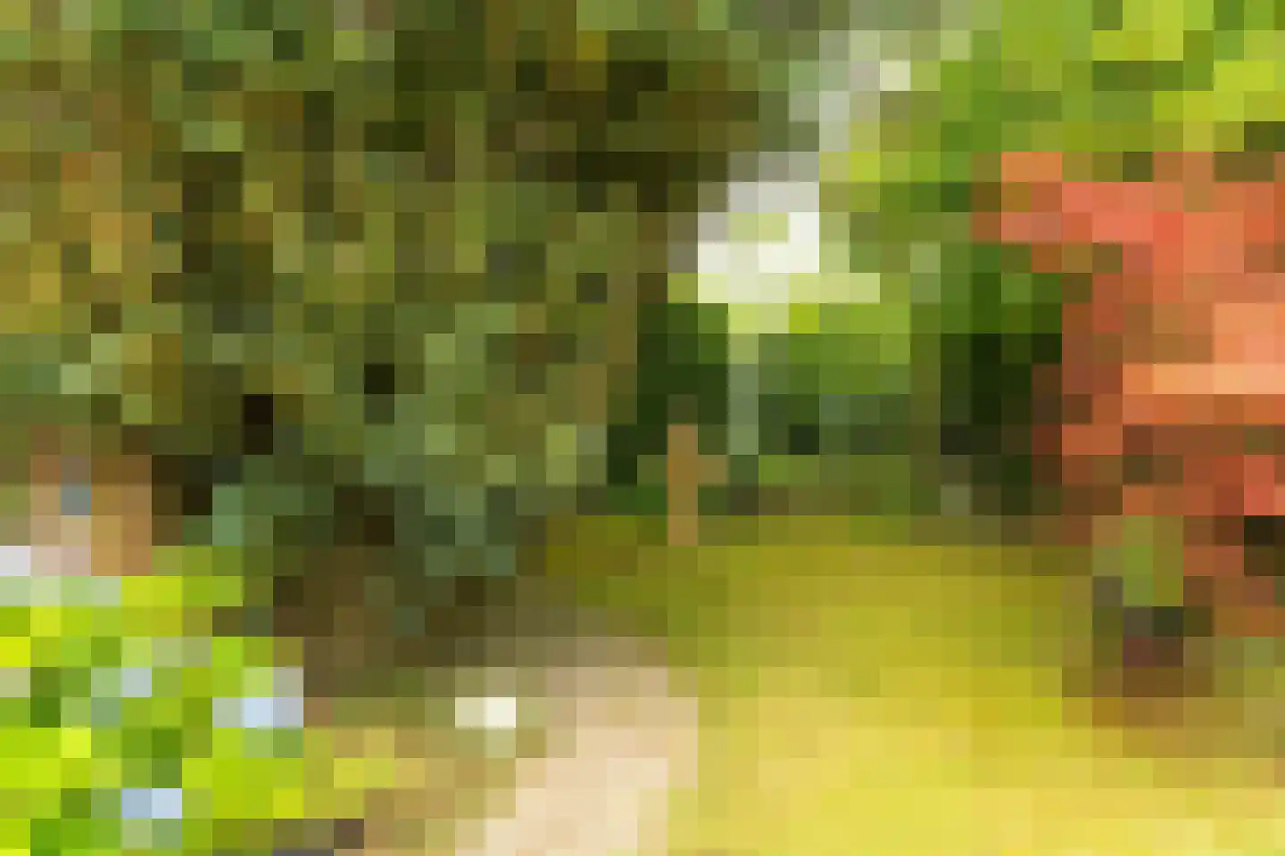 De Bongerd 29 Rohel thumbnail 28