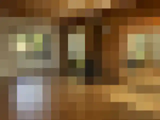 De Bongerd 29 Rohel thumbnail 4