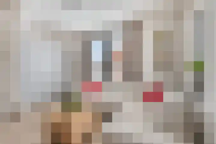 De Bongerd 3 Scherpenzeel thumbnail 10