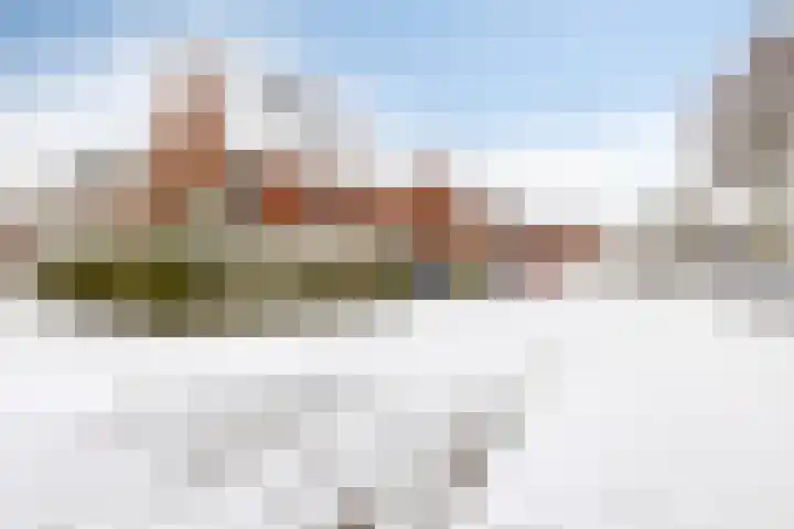 De Bongerd 3 Scherpenzeel thumbnail 15