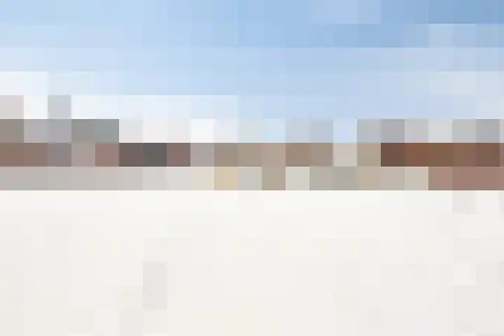 De Bongerd 3 Scherpenzeel thumbnail 16