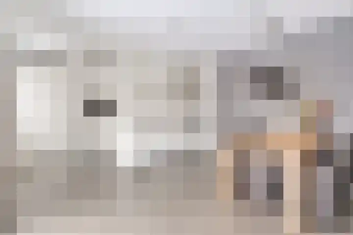 De Bongerd 3 Scherpenzeel foto 2