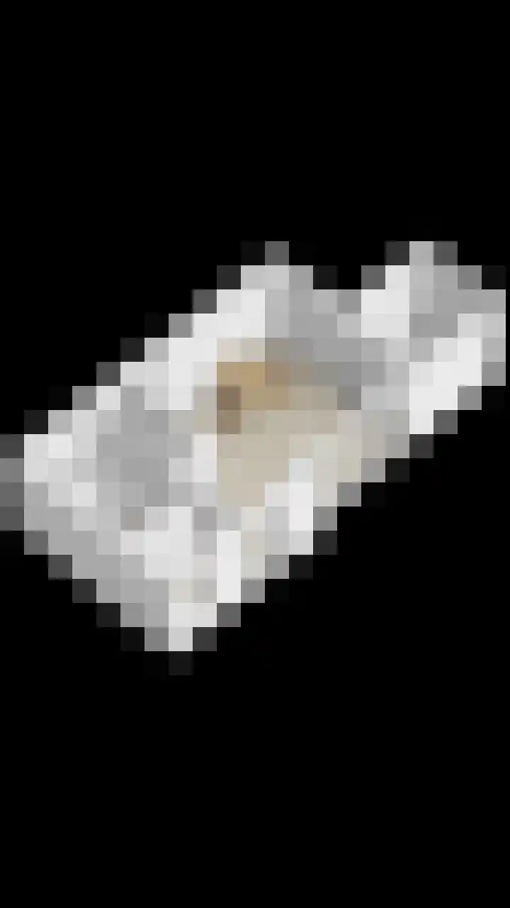 De Bongerd 3 Scherpenzeel thumbnail 22
