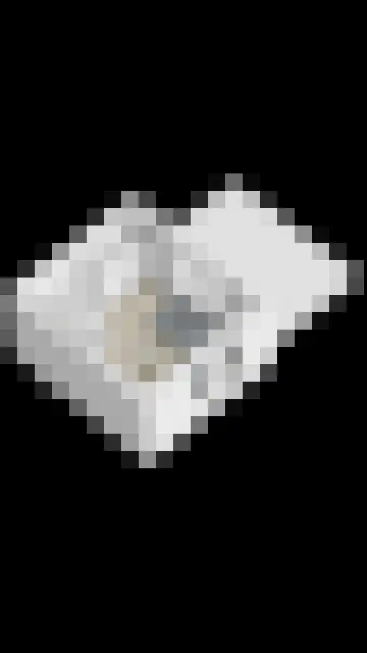 De Bongerd 3 Scherpenzeel thumbnail 23