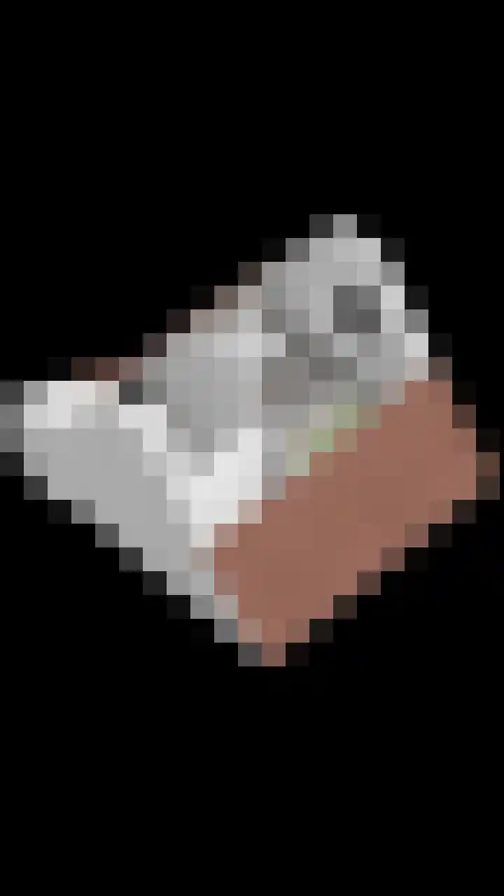 De Bongerd 3 Scherpenzeel thumbnail 24