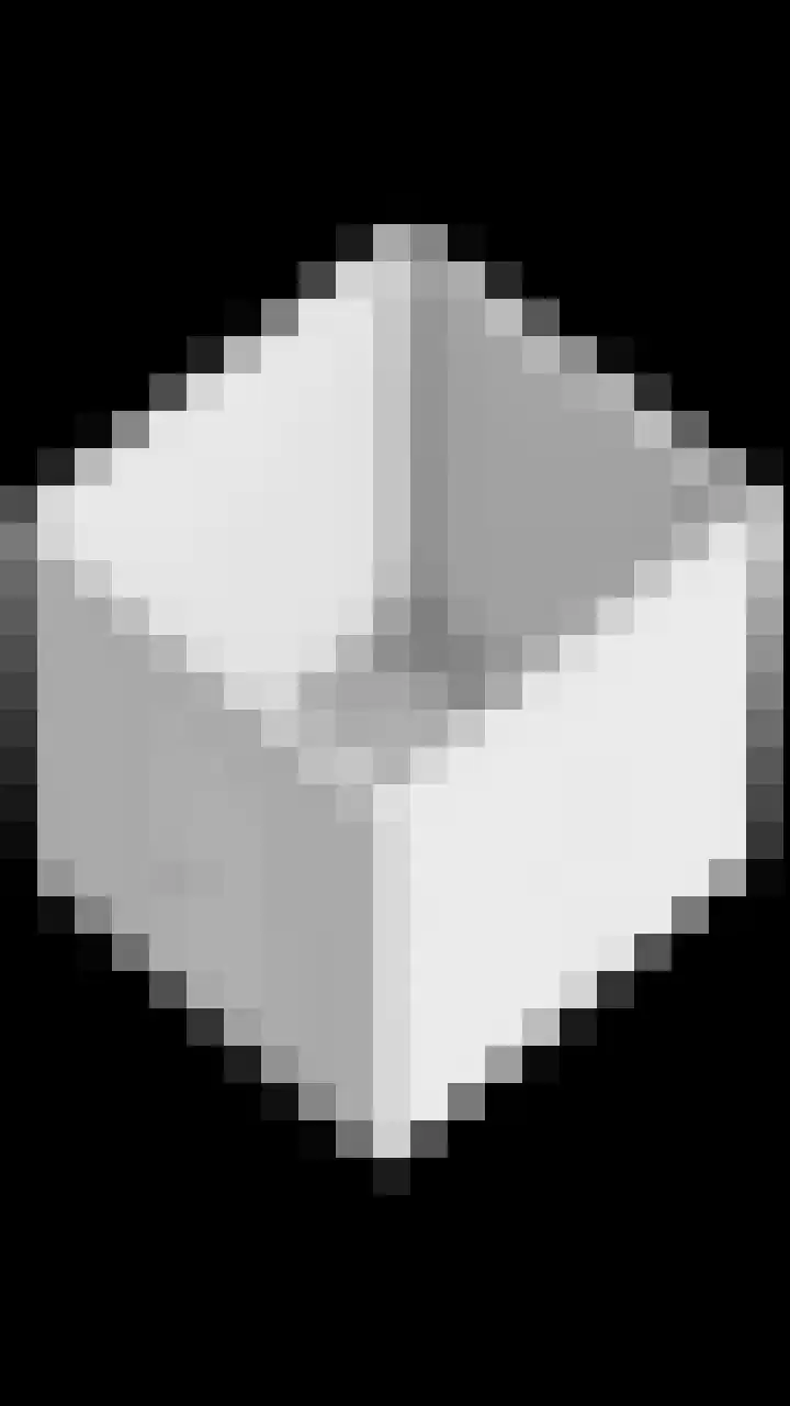 De Bongerd 3 Scherpenzeel thumbnail 25