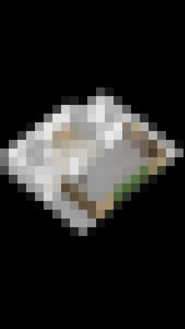 De Bongerd 3 Scherpenzeel thumbnail 26