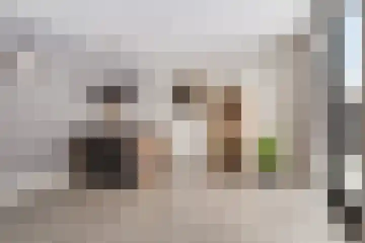 De Bongerd 3 Scherpenzeel thumbnail 4