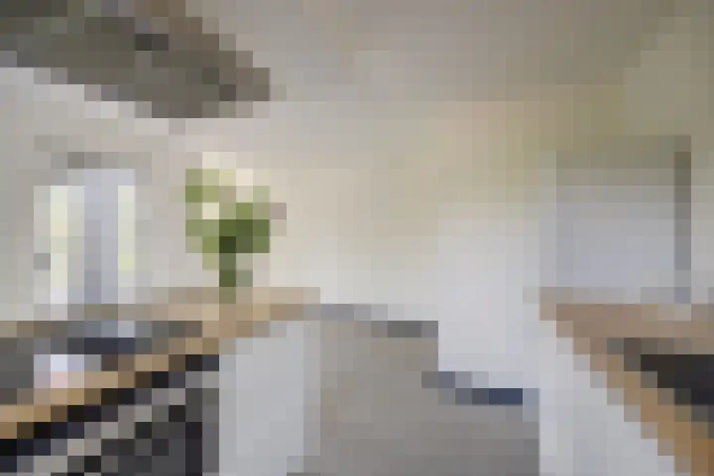 De Bongerd 42 Rohel thumbnail 10