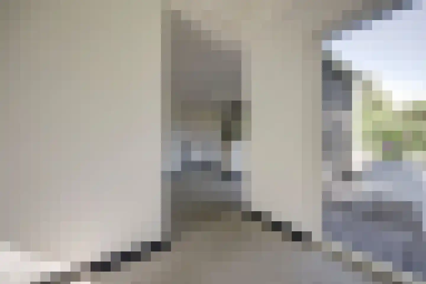De Bongerd 42 Rohel thumbnail 12