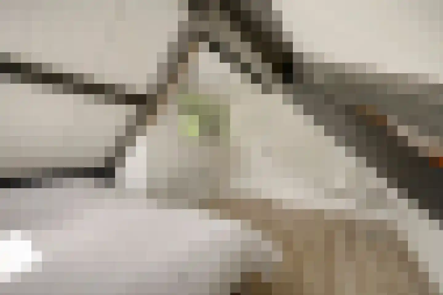 De Bongerd 42 Rohel thumbnail 16