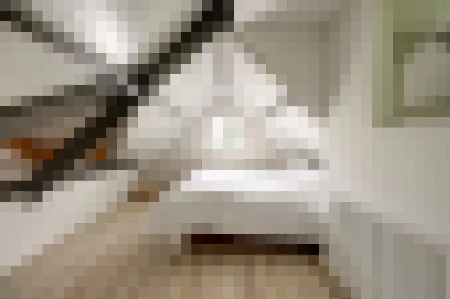 De Bongerd 42 Rohel thumbnail 18