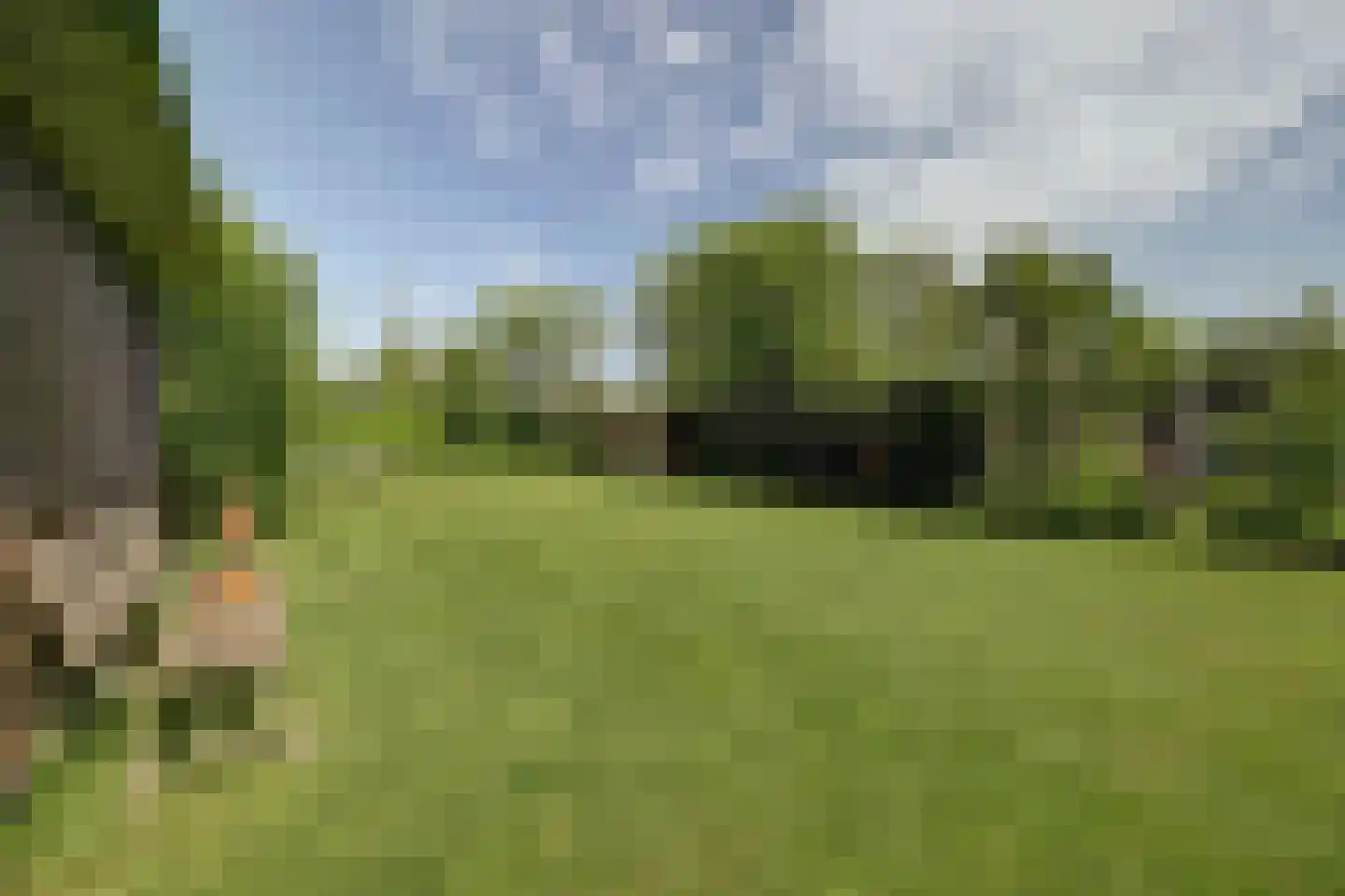 De Bongerd 42 Rohel thumbnail 19