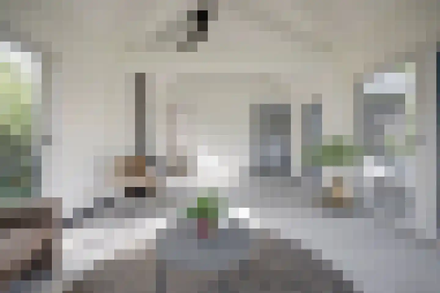De Bongerd 42 Rohel thumbnail 6