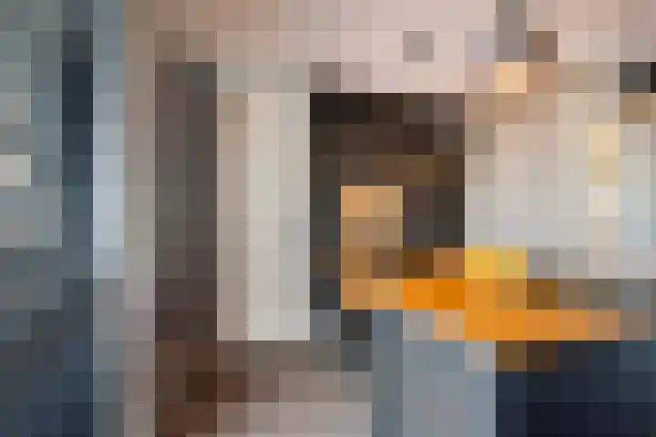 De Bongerd 45 Streefkerk thumbnail 11