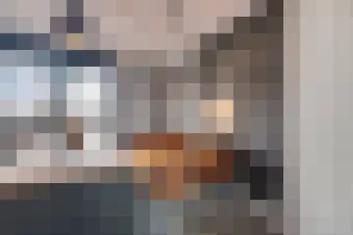 De Bongerd 45 Streefkerk thumbnail 14