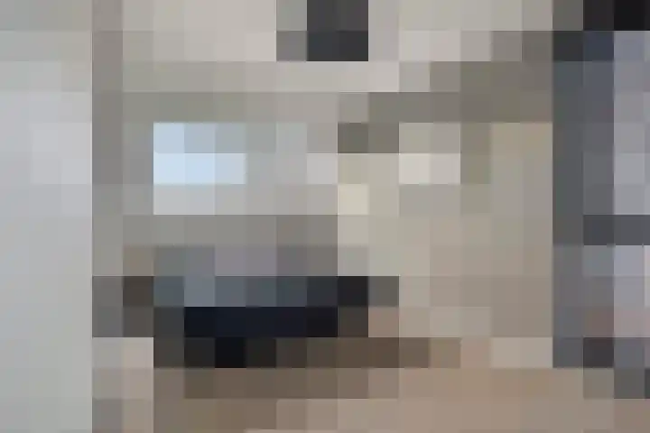 De Bongerd 45 Streefkerk thumbnail 15