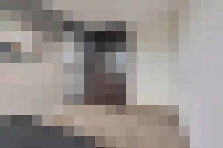 De Bongerd 45 Streefkerk thumbnail 16