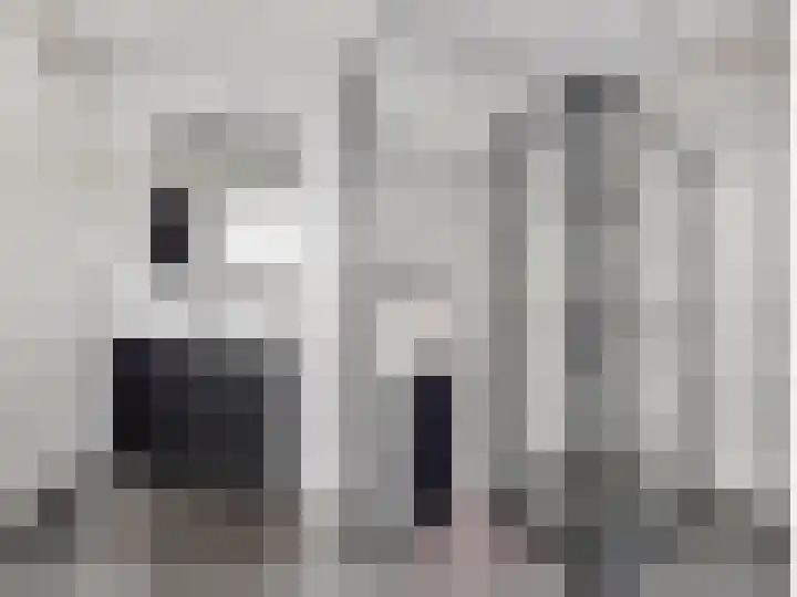 De Bongerd 45 Streefkerk thumbnail 21
