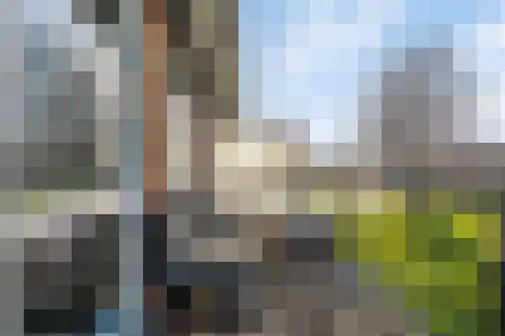 De Bongerd 45 Streefkerk thumbnail 23