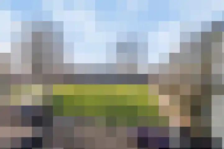 De Bongerd 45 Streefkerk thumbnail 24