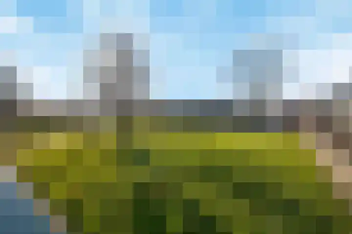 De Bongerd 45 Streefkerk thumbnail 25