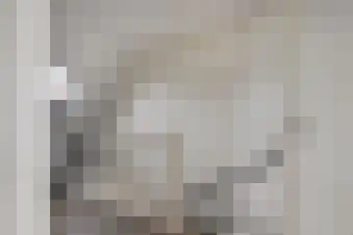 De Bongerd 45 Streefkerk thumbnail 31