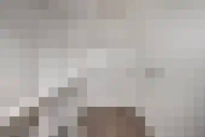 De Bongerd 45 Streefkerk thumbnail 32