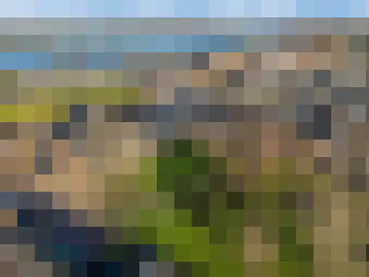 De Bongerd 45 Streefkerk thumbnail 44