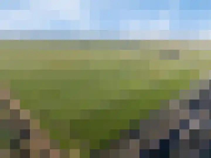 De Bongerd 45 Streefkerk thumbnail 49
