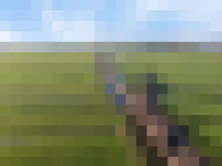 De Bongerd 45 Streefkerk thumbnail 50
