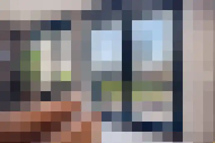 De Bongerd 45 Streefkerk thumbnail 6