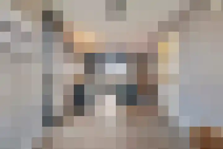 De Bongerd 45 Streefkerk thumbnail 7