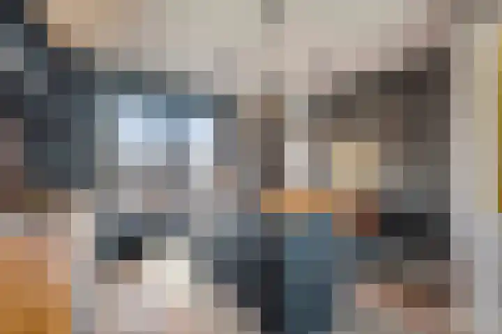 De Bongerd 45 Streefkerk thumbnail 8